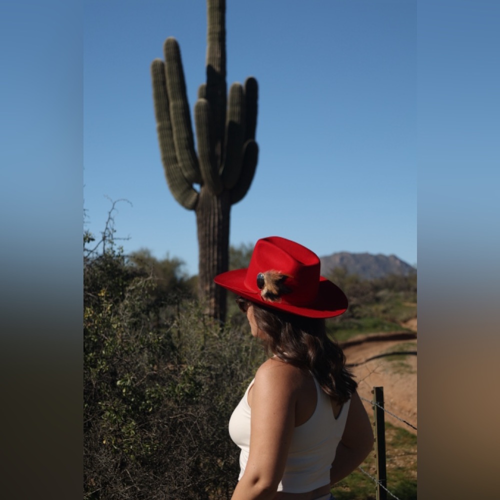 Red Wool Cowboy Hat – Western Felt Hat with feather hat pin vintage stone brooch